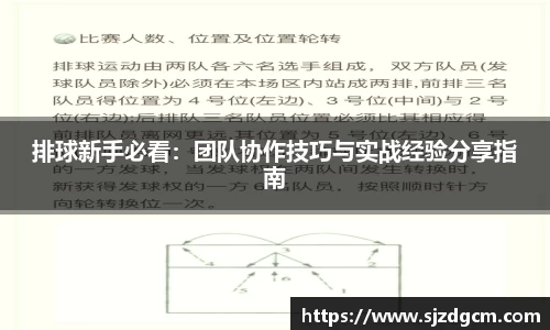 排球新手必看：团队协作技巧与实战经验分享指南