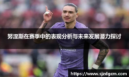 努涅斯在赛季中的表现分析与未来发展潜力探讨
