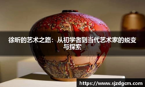 徐昕的艺术之路：从初学者到当代艺术家的蜕变与探索
