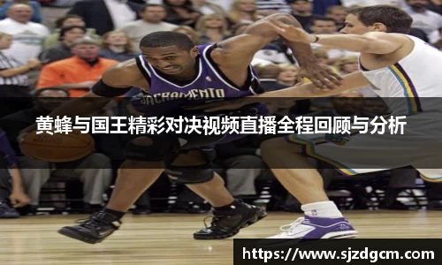 黄蜂与国王精彩对决视频直播全程回顾与分析